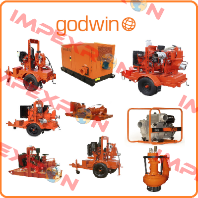 Godwin Pumps