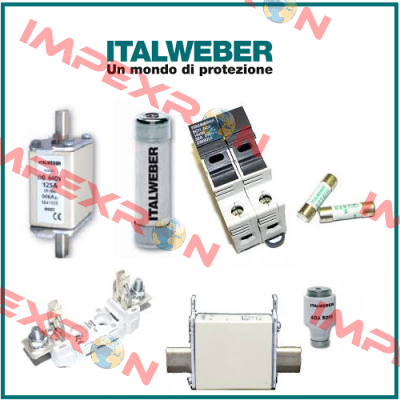 291602103  Italweber