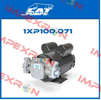 1XP100.071 Cat Pumps