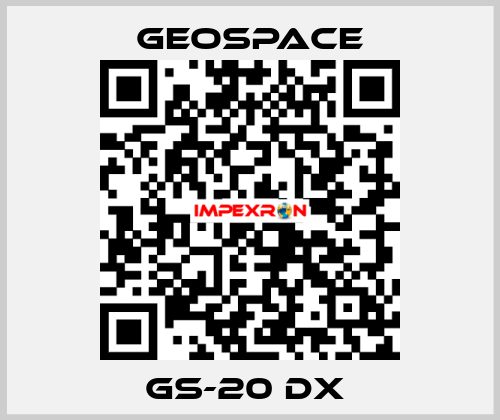 GS-20 DX  GeoSpace