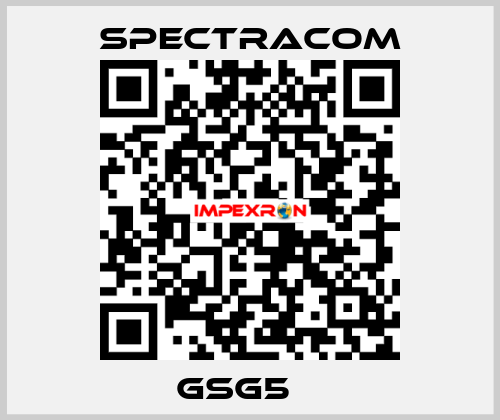GSG5　  SPECTRACOM