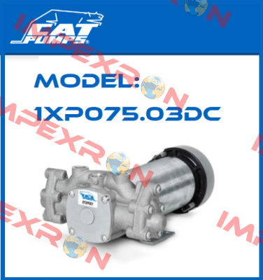 Model: 1XP075.03DC Cat Pumps