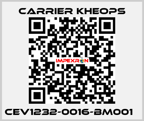 CEV1232-0016-BM001   Carrier Kheops