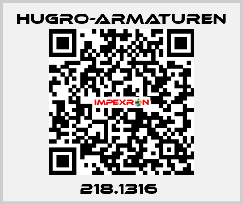 218.1316  Hugro-Armaturen