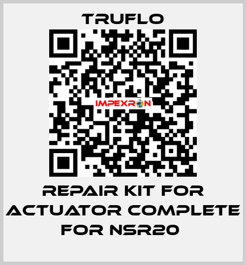 Repair Kit For Actuator Complete For NSR20  TRUFLO