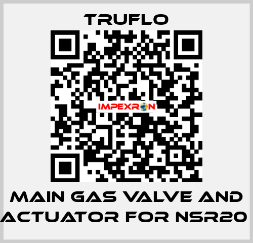 Main Gas Valve and Actuator For NSR20  TRUFLO