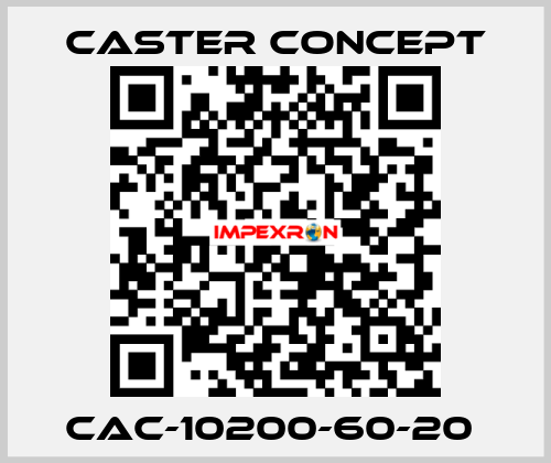 CAC-10200-60-20  CASTER CONCEPT