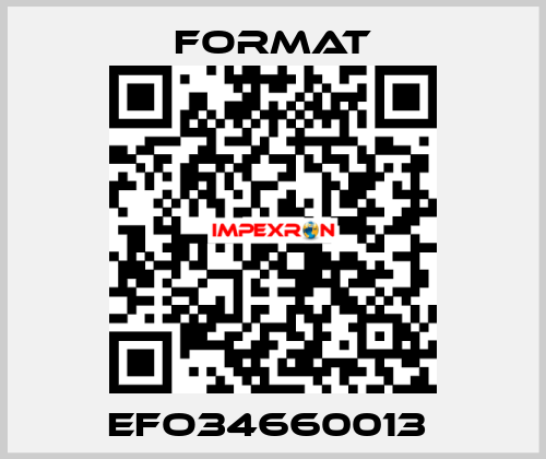 EFO34660013  Format