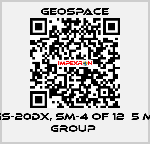 GS-20DX, SM-4 OF 12Х5 M, GROUP  GeoSpace