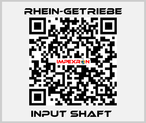 INPUT SHAFT  Rhein-Getriebe