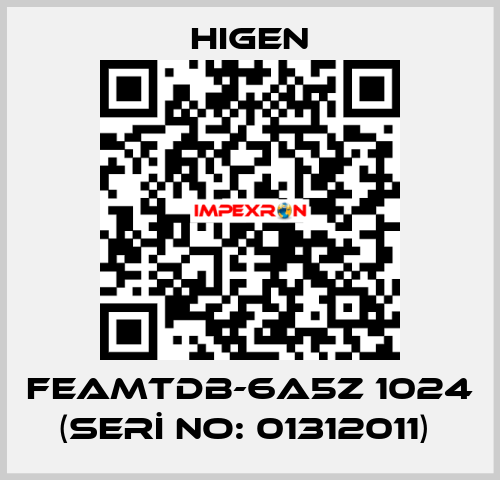 FEAMTDB-6A5Z 1024 (SERİ NO: 01312011)  Higen