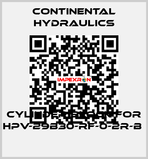 cylinder block for HPV-29B30-RF-0-2R-B  Continental Hydraulics