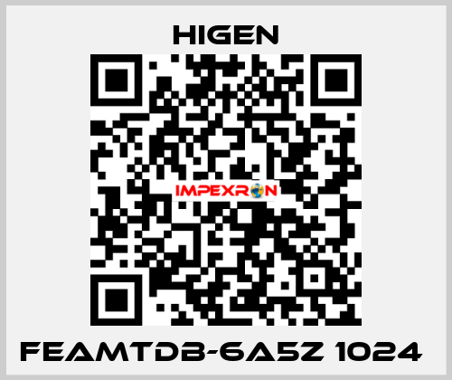 FEAMTDB-6A5Z 1024  Higen