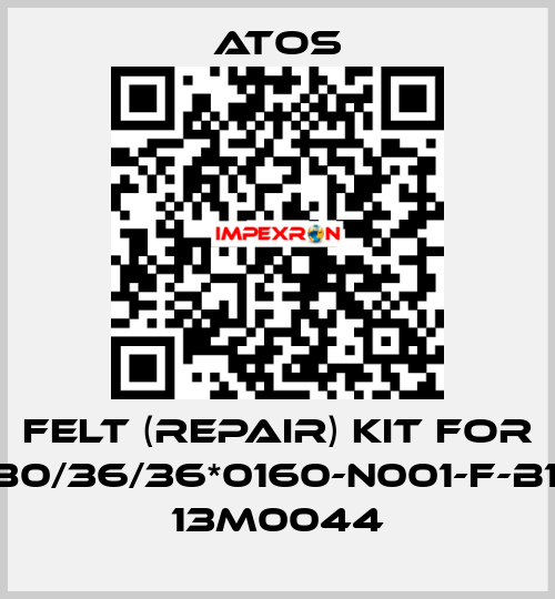 Felt (repair) kit for CK-9-80/36/36*0160-N001-F-B1X1-32 13M0044 Atos