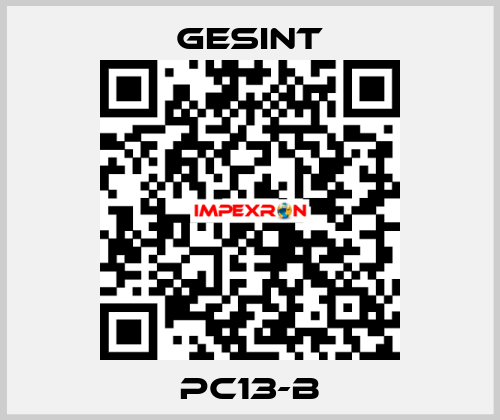 PC13-B Gesint