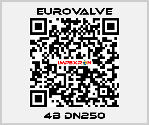 4B DN250 Eurovalve