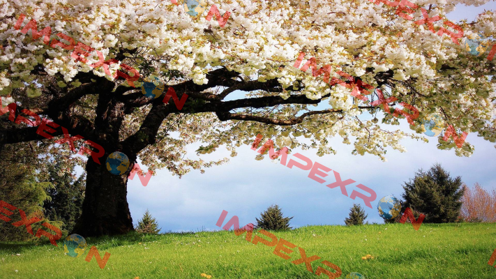 TEST123 De-Test DENEME