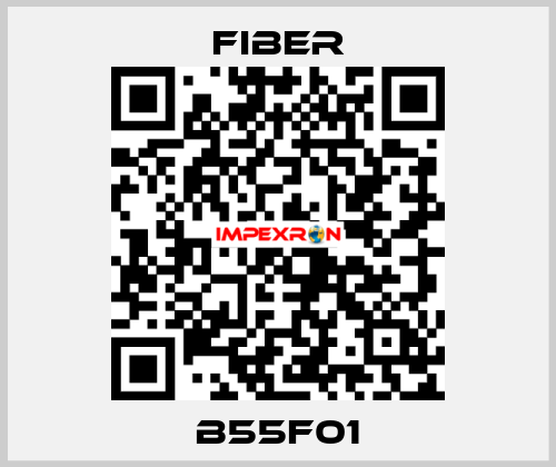 B55F01 Fiber