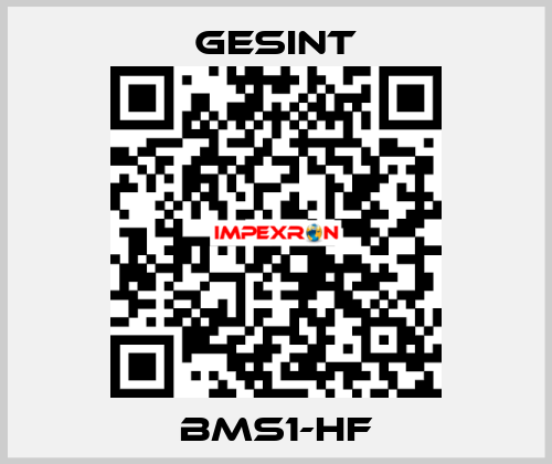 BMS1-HF Gesint