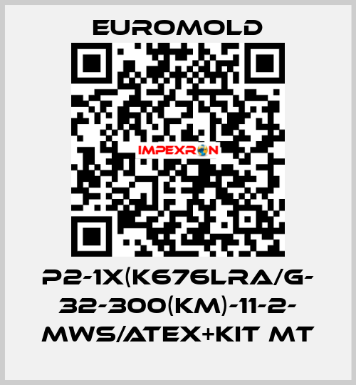 P2-1x(K676LRA/G- 32-300(KM)-11-2- MWS/ATEX+KIT MT EUROMOLD