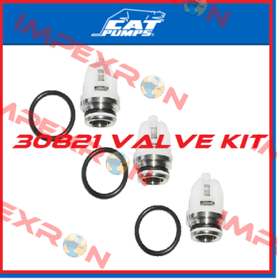 30821 Cat Pumps