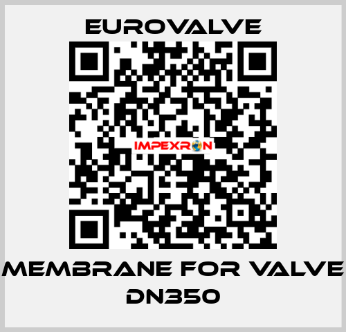 membrane for valve DN350 Eurovalve