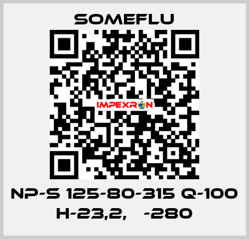 NP-S 125-80-315 Q-100 H-23,2, Ф-280 SOMEFLU