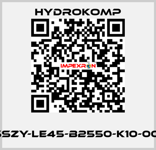       SSZY-LE45-B2550-K10-001 HYDROKOMP