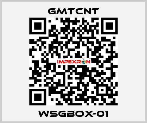 WSGBOX-01 GMTCNT