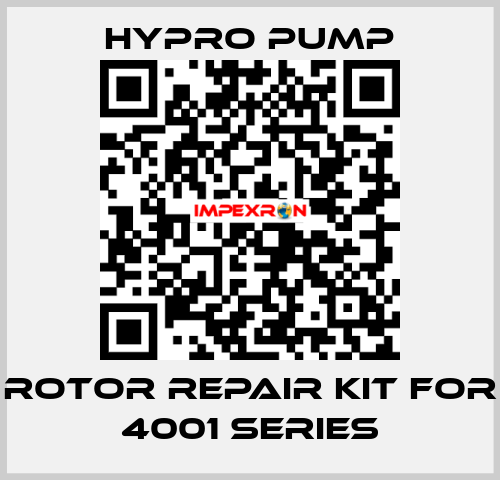 Rotor Repair Kit for 4001 Series Hypro Pump