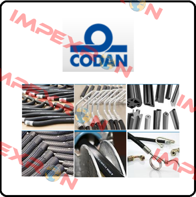 8021010000 Codan