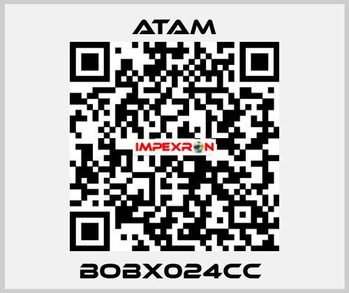 BOBX024CC  ATAM