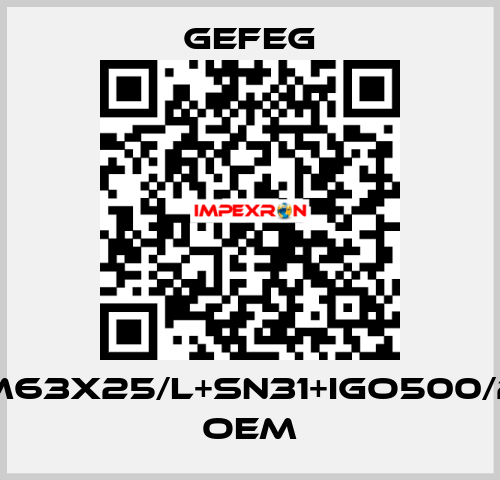 M63x25/l+sn31+igo500/2 OEM Gefeg