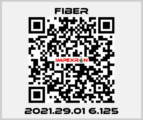 2021.29.01 6.125 Fiber