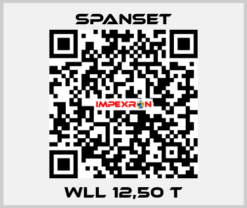 WLL 12,50 t SpanSet