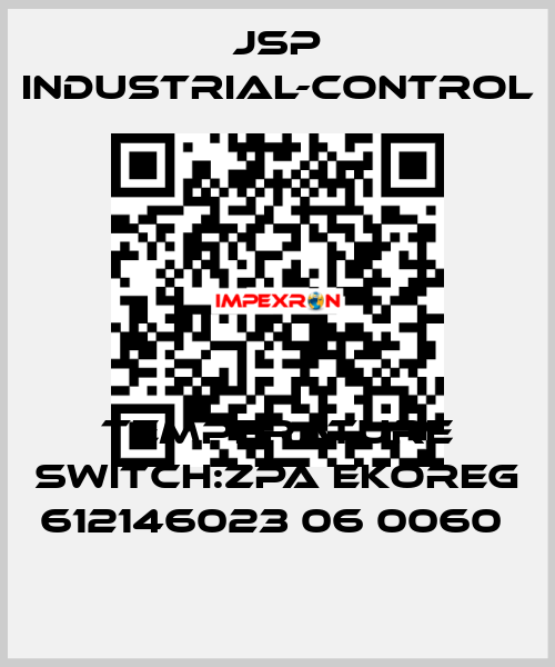 TEMPERATURE SWITCH:ZPA EKOREG 612146023 06 0060  JSP Industrial-Control