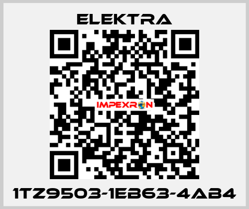 1TZ9503-1EB63-4AB4 ELEKTRA