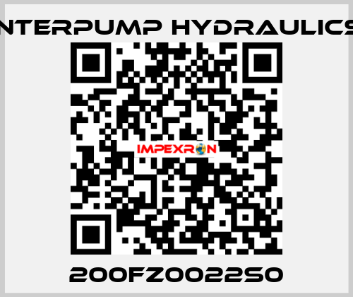 200FZ0022S0 Interpump hydraulics