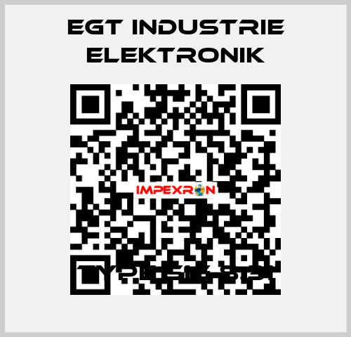 Type SIG 8.31 EGT Industrie elektronik