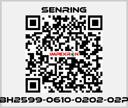 BH2599-0610-0202-02P SENRING