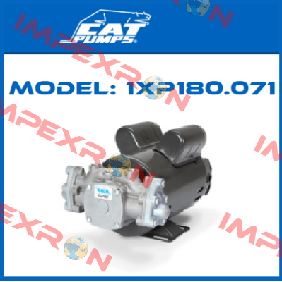 Model: 1XP180.071 Cat Pumps