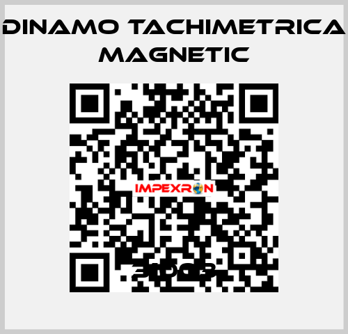 31003 Dinamo Tachimetrica Magnetic