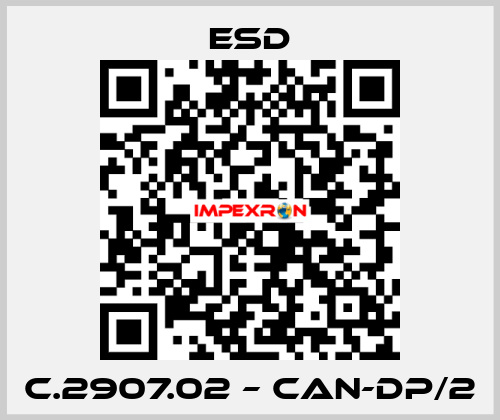 C.2907.02 – CAN-DP/2 ESD