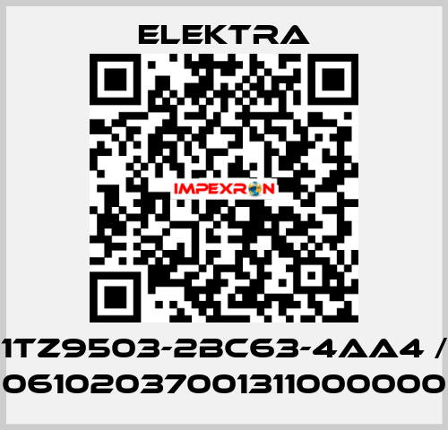 1TZ9503-2BC63-4AA4 / 06102037001311000000 ELEKTRA