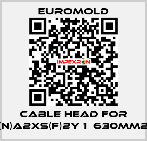 Cable head for (N)A2XS(F)2Y 1х630mm2 EUROMOLD