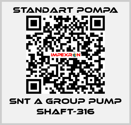 SNT A GROUP PUMP SHAFT-316 STANDART POMPA