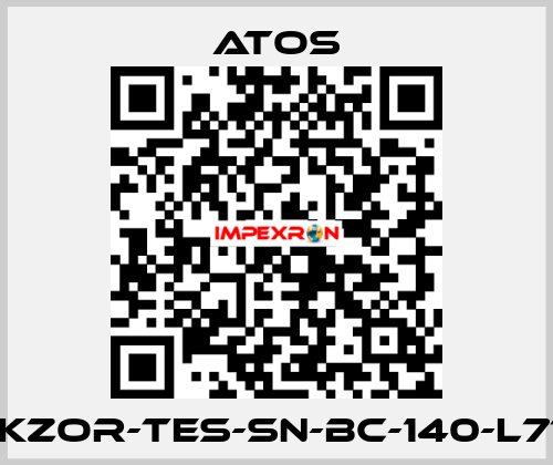 DLKZOR-TES-SN-BC-140-L71/Y Atos