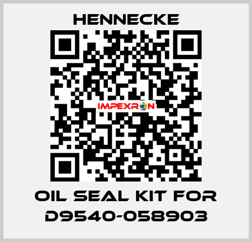 oil seal kit for D9540-058903 Hennecke