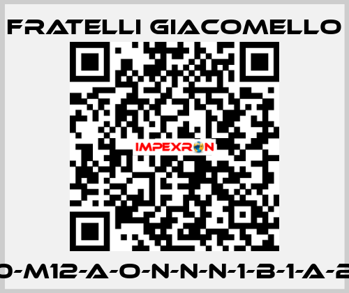 LV/E-S1-450-M12-A-O-N-N-N-1-B-1-A-2-0-0-A-0-0 Fratelli Giacomello