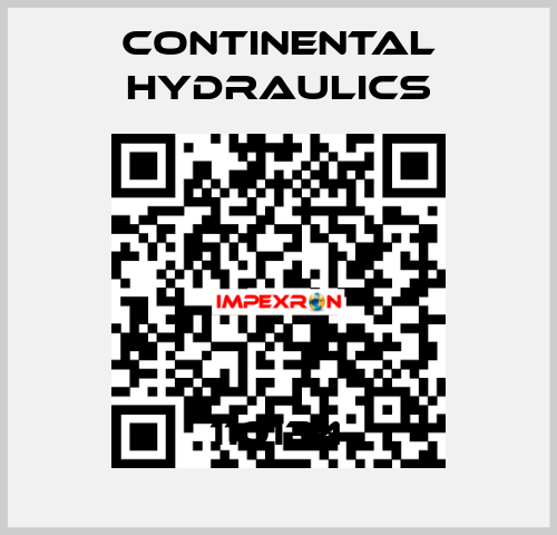 110134 Continental Hydraulics